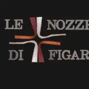 Le nozze di figaro, VOI CHE SAPETE