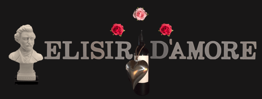 Elisir d'amore, Donizetti, Synopsis