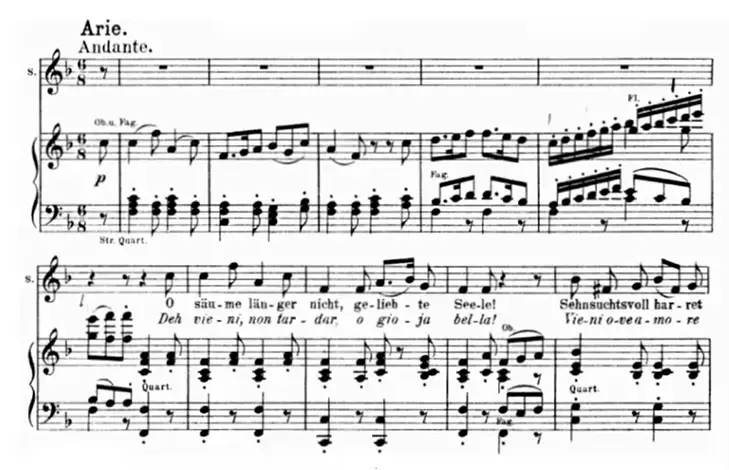 Aria, deh non vieni tardar