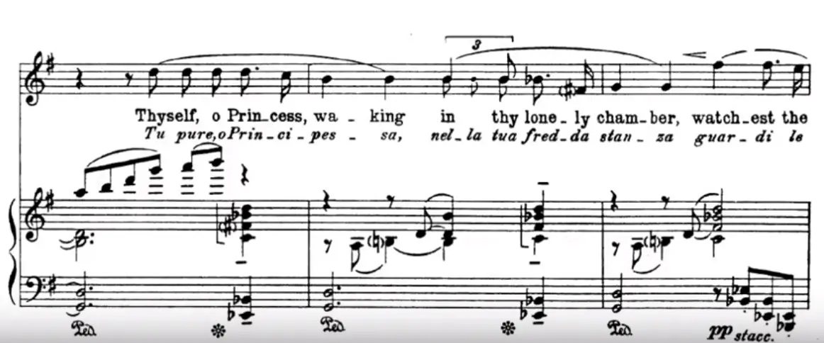 Nessun dorma, Turandot