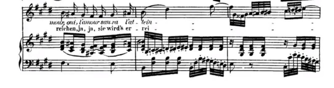 Abscheulicher, komm hoffnung, aria, Fidelio, Leonore