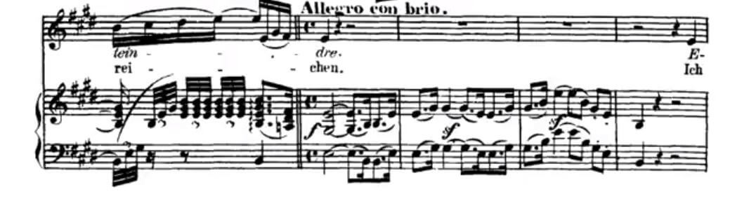 Abscheulicher, komm hoffnung, aria, Fidelio, Leonore