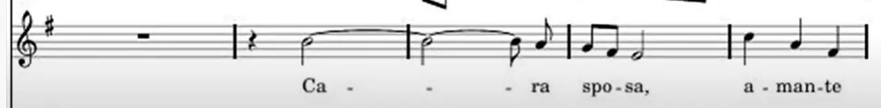 Aria-Cara_sposa-Rinaldo