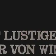 Die lustigen Weiber von Windsor, otto nicolai, Handlung, Opernführer