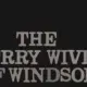 the merry wives of windsor, nicolai otto, synopsis
